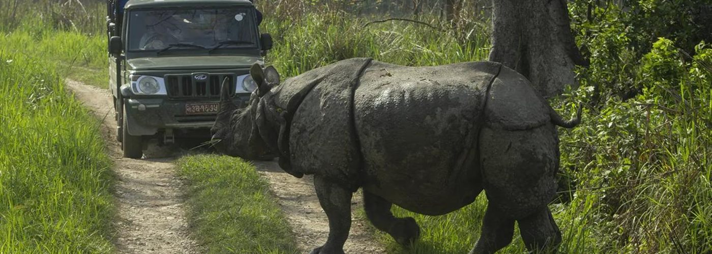 Bardia Jungle Safari &ndash; 5 Days
