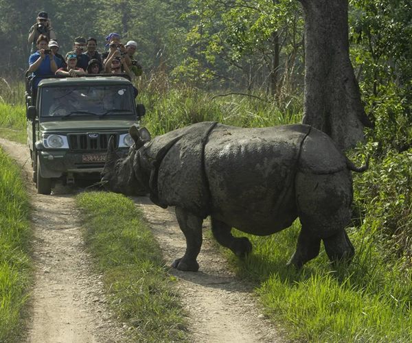Nepal Jungle Safari Tour &ndash; 4 Days