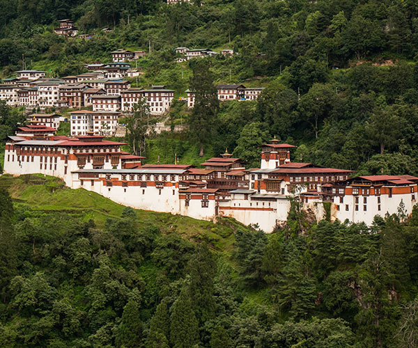Wild Bhutan Escape