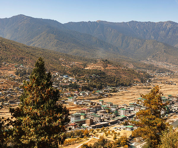 8 Days Birding & Wildlife Exploration in Bhutan