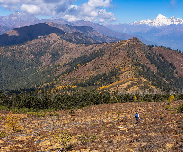 5 Days Bumdra Expeditions
