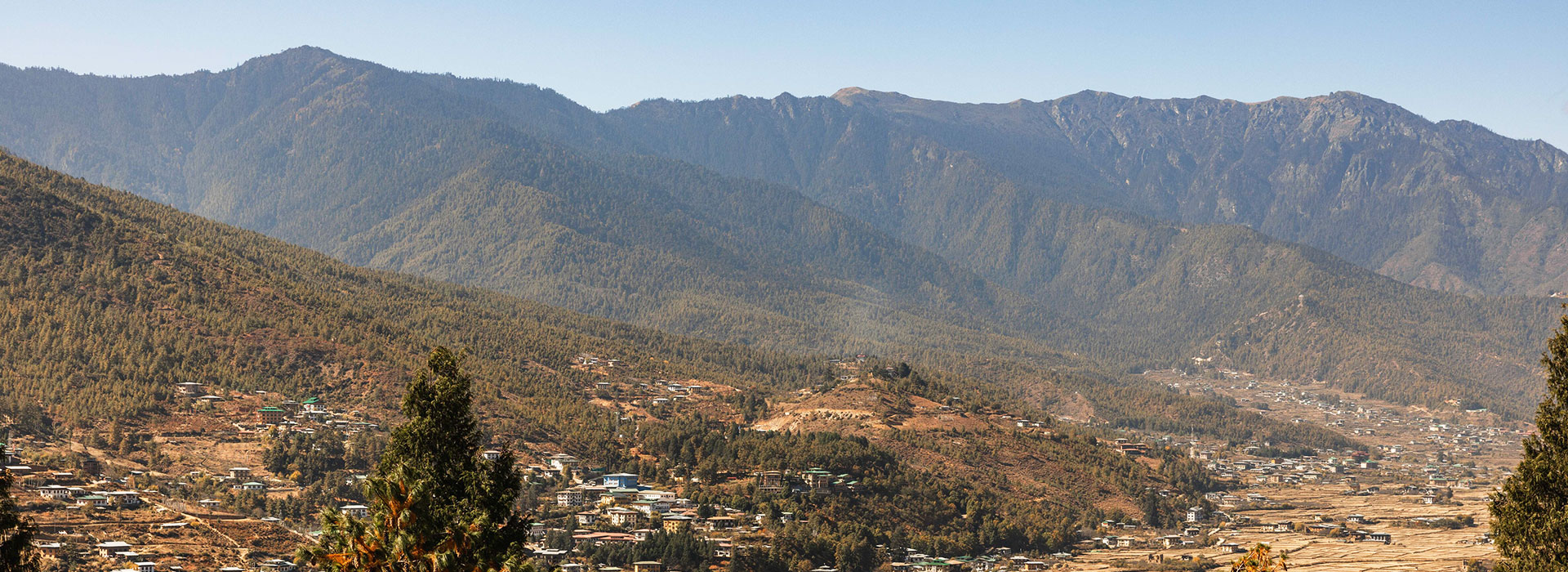 8 Days Birding & Wildlife Exploration in Bhutan