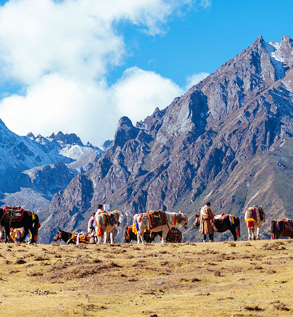 Bhutan Leisure for Seniors